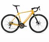 Orbea GAIN D50 20mph M Mango (Gloss) - Black (Matt)