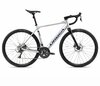 Orbea GAIN D50 20mph M Metallic Silver (Matt) - Black (Gloss)